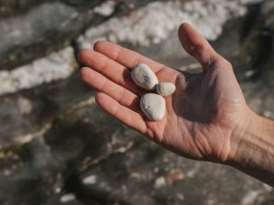 Las piedras