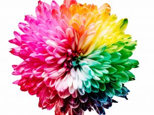 ¡Sí hay color!